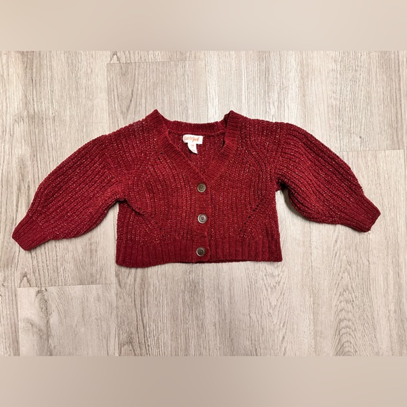 Toddler Girl Fall Bundle Size 18/24 Month - Picture 6 of 16